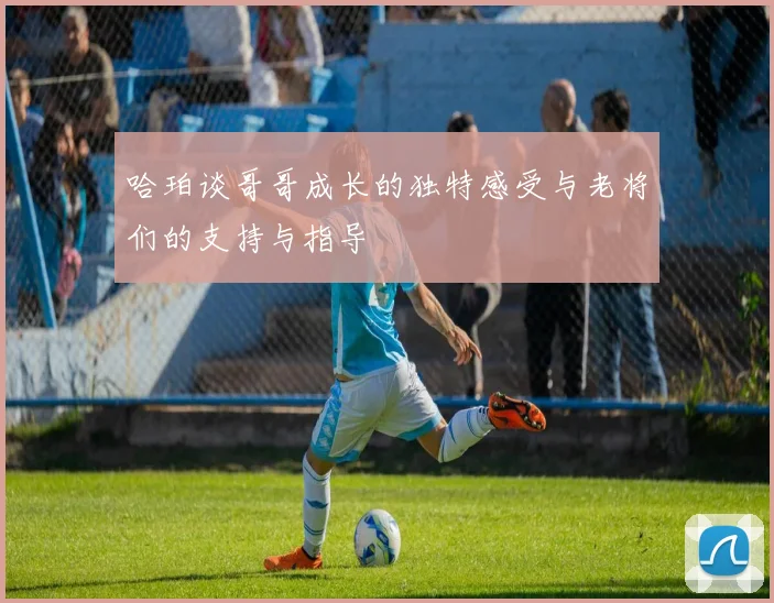 哈珀谈哥哥成长的独特感受与老将们的支持与指导