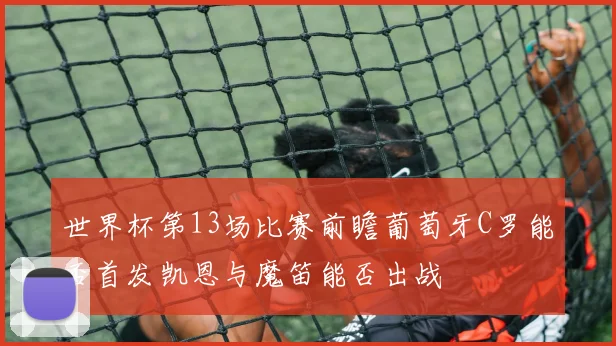 世界杯第13场比赛前瞻葡萄牙C罗能否首发凯恩与魔笛能否出战